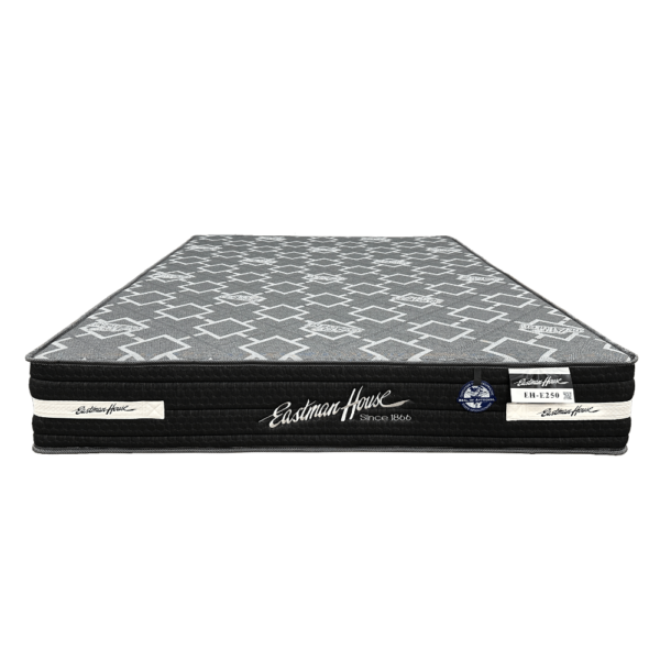 EH_E250_1000x1000 EH-E250