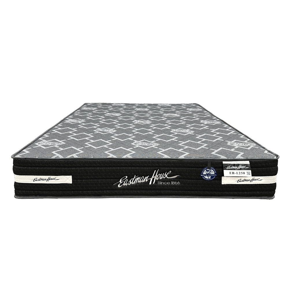 EH_E250_1000x1000 EH-E250