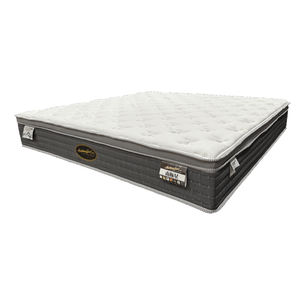 南極星-1000x1000-45 南極星2019