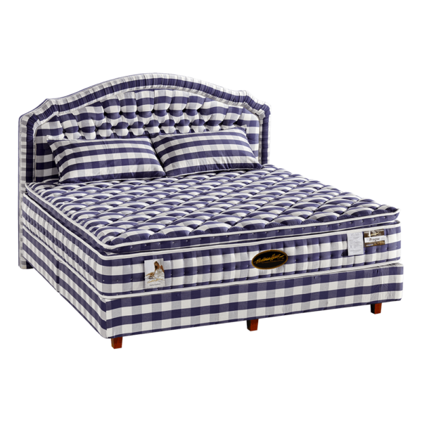 布拉格 布拉格床墊